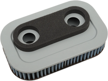 Load image into Gallery viewer, DragSpecialties Premium Washable Air Filter Element - Sportster E14-0306 - Main Product View