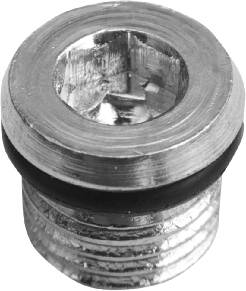 DragSpecialties Primary Plug - 5/16"-18 11-0298P - Main Product View