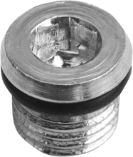 Load image into Gallery viewer, DragSpecialties Primary Plug - 5/16"-18 11-0298P - Main Product View