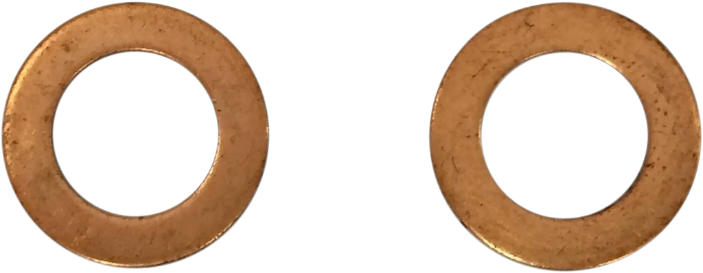DragSpecialties Replacement Fork Damper Tube Mount Washers C23-0237NU-2W - Main Product View
