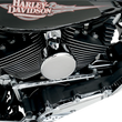 Load image into Gallery viewer, DragSpecialties Round Horn Cover - Chrome 76636 - Back View