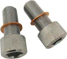 Load image into Gallery viewer, DragSpecialties Screws with/Washers - Damper Tube C23-0236NU-2 - Main Product View