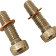 Load image into Gallery viewer, DragSpecialties Screws with/Washers - Damper Tube C23-0237NU-2 - Main Product View