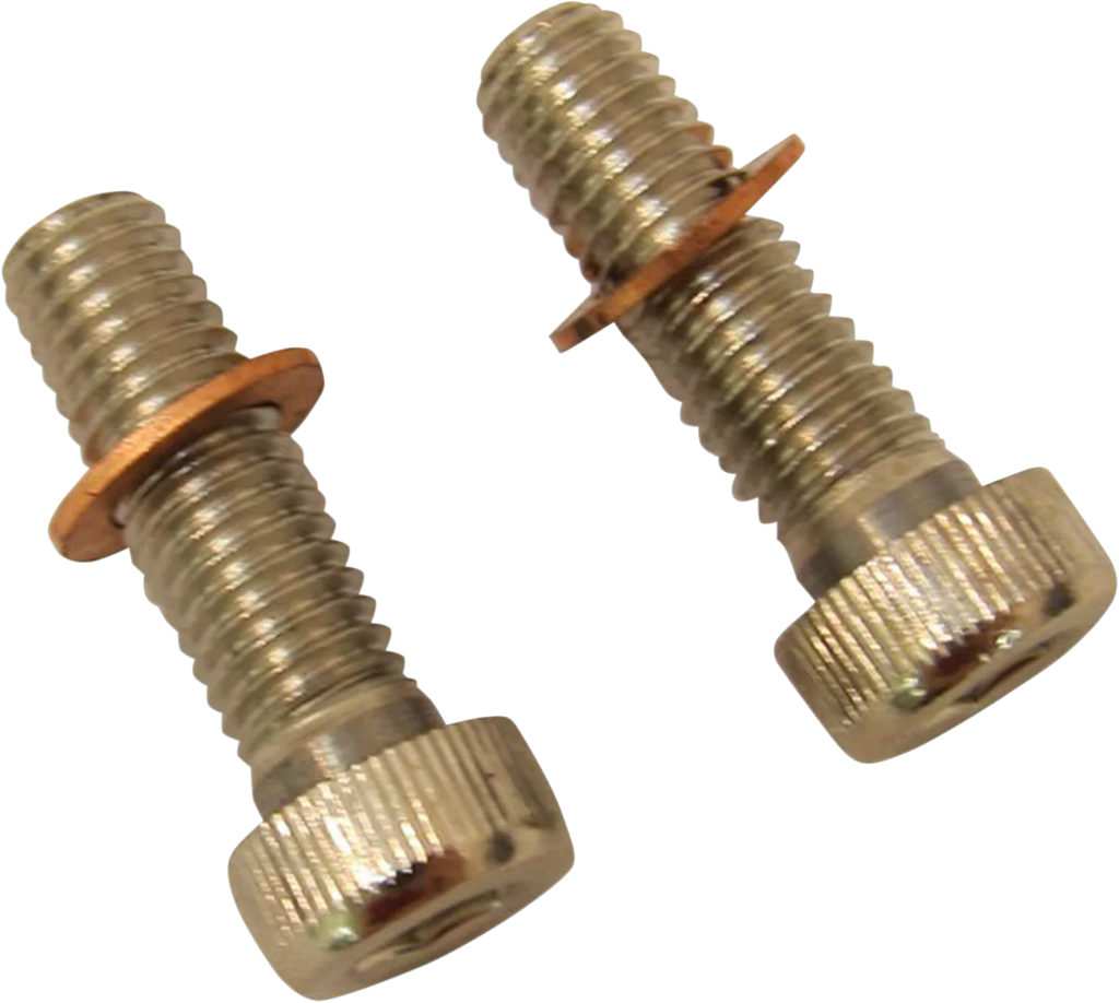 DragSpecialties Screws with/Washers - Damper Tube C23-0237NU-2 - Main Product View