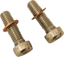 Load image into Gallery viewer, DragSpecialties Screws with/Washers - Damper Tube C23-0237NU-2 - Main Product View