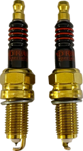 Load image into Gallery viewer, DragSpecialties Spark Plug - Indian E18-6656IDS - Main Product View