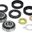 Load image into Gallery viewer, DragSpecialties Swingarm Bearing Kit 28-1111 - Main Product View
