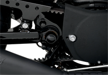 Load image into Gallery viewer, DragSpecialties Swingarm Pivot Bolt Cover - Gloss Black C16-0225B - Side View