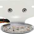 Load image into Gallery viewer, DragSpecialties Taillight/License Plate Mount - Cat Eye -Clear Lens - Red LED L24-65D9CLEDK - Main Product View