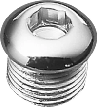 Load image into Gallery viewer, DragSpecialties Timing Plug - Allen - Harley-Davidson® MK135 - Main Product View