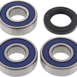 Load image into Gallery viewer, DragSpecialties Wheel Bearing/Seal Kit - Rear 25-1370 - Main Product View