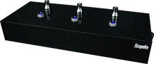 Load image into Gallery viewer, DragonFire Racing Dragonfire Led Whip Display