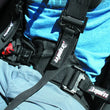 Load image into Gallery viewer, DragonFire Racing Harness Evo- Black - Back View