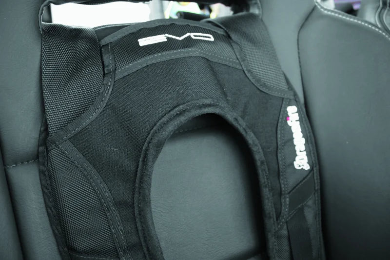 DragonFire Racing Harness Evo- Black - Installation View