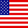 Load image into Gallery viewer, DragonFire Racing Whip Flag - American Flag