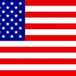 Load image into Gallery viewer, DragonFire Racing Whip Flag - American Flag