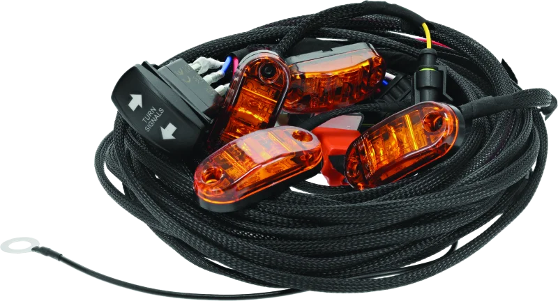 DragonFire Racing Whip Harness - 4 Seat- Dual
