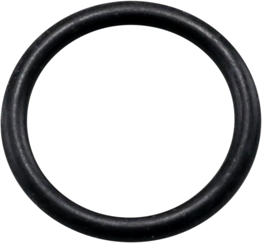 Drain Plug Washer - FLT/FXR James Gasket JGI-6007 - Side View