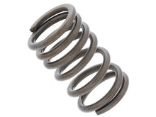 Load image into Gallery viewer, EMPI Valve Spring 98-1923-B