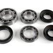 Load image into Gallery viewer, EPI 16-21 Honda 1000 Pioneer/5 Differential Bearing/Seal Kit