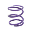 Load image into Gallery viewer, EPI 24+ Polaris RZR XP 1000/ Xpedition XP/ADV Primary Clutch Spring Purple - Main Product View