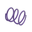 Load image into Gallery viewer, EPI 24+ Polaris RZR XP 1000/ Xpedition XP/ADV Primary Clutch Spring Purple - Detail View