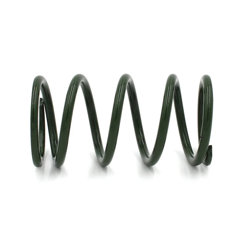EPI 24+ Polaris RZR XP/4 / Xpedition XP/ADV Secondary Clutch Spring Green - Main Product View
