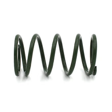 Load image into Gallery viewer, EPI 24+ Polaris RZR XP/4 / Xpedition XP/ADV Secondary Clutch Spring Green - Main Product View