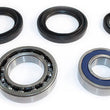 Load image into Gallery viewer, EPI 99-06 Yamaha 250-600 Bruin/ Big Bear/ Grizzly Wheel Bearing Kit
