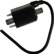 Load image into Gallery viewer, EPI Ignition Coils Golf Cart