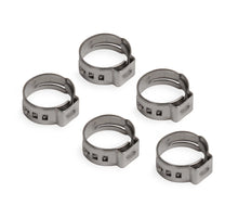 Load image into Gallery viewer, Earl's Performance 3/8 Hose Clamp For Vapor Guard Hose 5pk 750010ERL