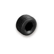 Load image into Gallery viewer, Earl's Performance 3/8NPT Ano-Tuff Internal Plug AT593204ERL