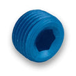 Load image into Gallery viewer, Earl's Performance 3/8in Pipe Plug 593204ERL