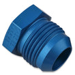 Load image into Gallery viewer, Earl's Performance CLEARANCE ITEM / ALL SALES FINAL - Pressure Test Kit, Size -12 AN D016-12ERL - Side View