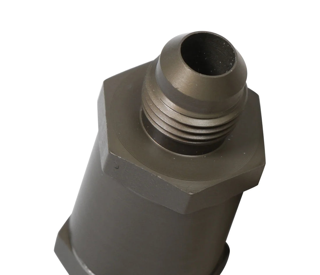 Earl's Performance Check Valve - 6AN Male – Stainless Steel Hinge Door with GF-600S Viton® Seal 253006ERL - Detail View