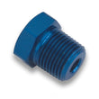Load image into Gallery viewer, Earl's Performance Earl's 1/4" NPT Hex Head Plug 993302ERL