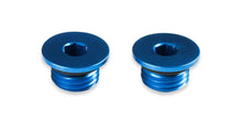 Load image into Gallery viewer, Earl's Performance Earl's AN Port Plug - Allen Head 581304ERL - Main Product View