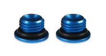 Load image into Gallery viewer, Earl's Performance Earl's AN Port Plug - Allen Head 581304ERL - Back View