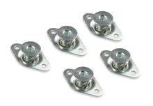 Load image into Gallery viewer, Earl's Performance Earl's Quarter Turn Fasteners PANBE5500-ERL - Main Product View