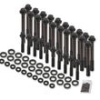Load image into Gallery viewer, Earl's Performance Head Bolt Set 6pt - HBS-002ERL fits 2004-2014 Gm LS