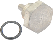 Load image into Gallery viewer, Eastern Motorcycle Parts Drain Plug A-60348-65B - Main Product View