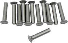 Load image into Gallery viewer, Eastern Motorcycle Parts Ratchet Plate Rivets A-8215 - Main Product View