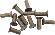 Load image into Gallery viewer, Eastern Motorcycle Parts Ratchet Plate Rivets A-8216 - Main Product View