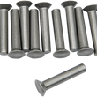 Load image into Gallery viewer, Eastern Motorcycle Parts Ratchet Plate Rivets A-8216 - Side View