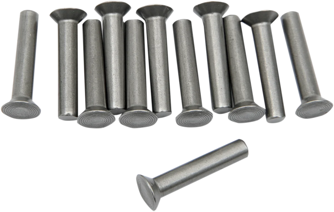 Eastern Motorcycle Parts Ratchet Plate Rivets A-8216 - Side View