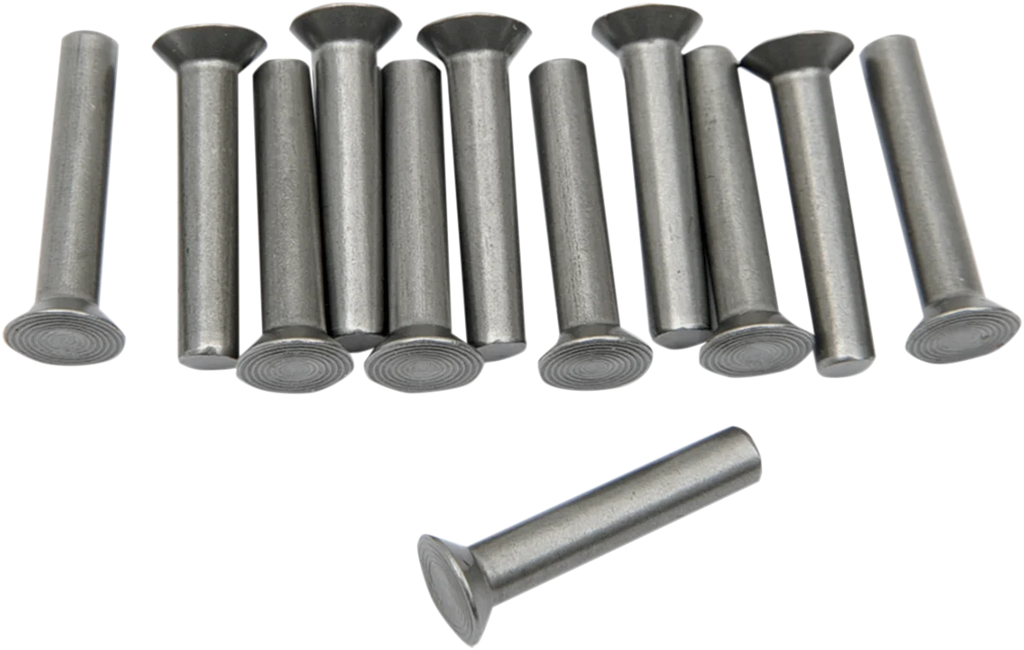 Eastern Motorcycle Parts Ratchet Plate Rivets A-8216 - Side View
