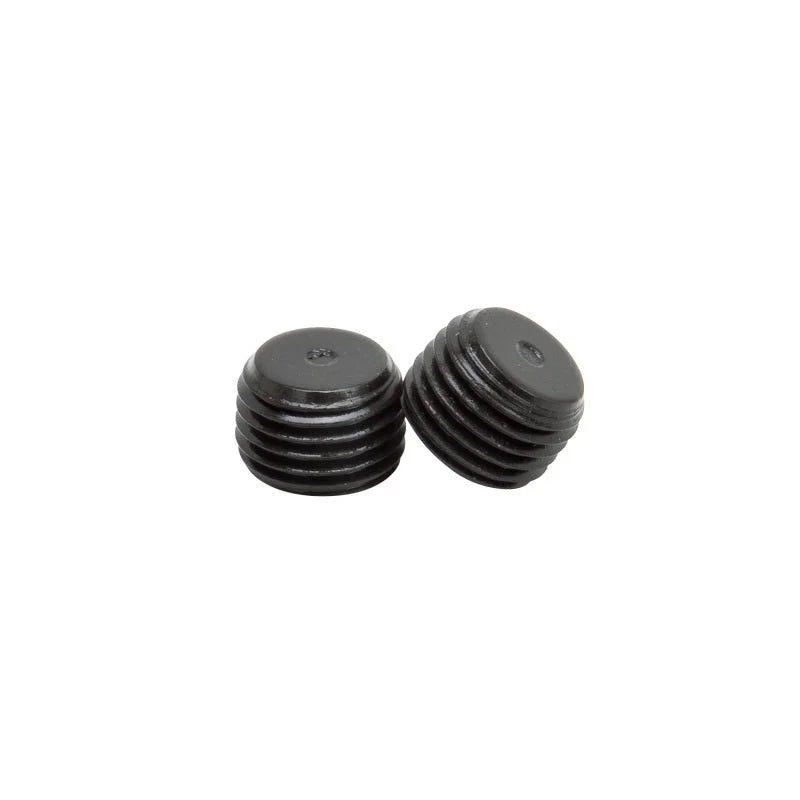 Edelbrock 1/4 Pipe Plug 1Pr - Main Product View