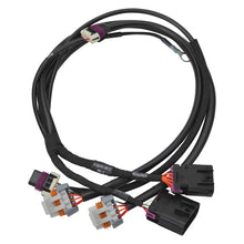 Load image into Gallery viewer, Edelbrock 24x Crank/Cam Pro-Flo 4+ EFI Ignition &amp; Engine Position Harness fits Chevy LS - Main Product View