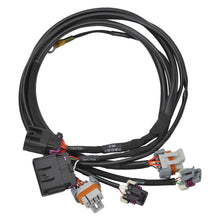 Load image into Gallery viewer, Edelbrock 58x Crank/Cam Pro-Flo 4+ EFI Ignition &amp; Engine Position Harness fits Chevy LS - Main Product View