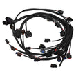 Load image into Gallery viewer, Edelbrock Pro-Flo 4+ EFI Engine Management System fits 2015-2017 Ford Coyote - Back View
